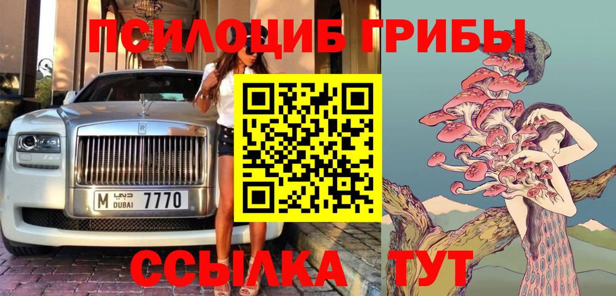 Нефтекамск  Псилоцибиновые грибы Magic Shrooms  Вход с VPN  Псилоцибиновые грибы Psilocybine cubensis 
